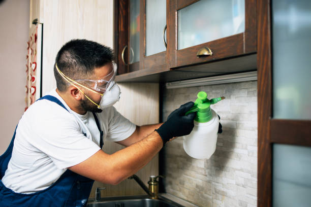 Best Bed Bug Extermination  in Gladstone, OR