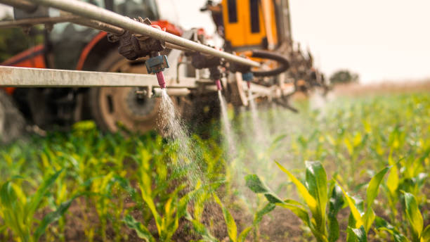 Best Wildlife Control Services  in Gladstone, OR